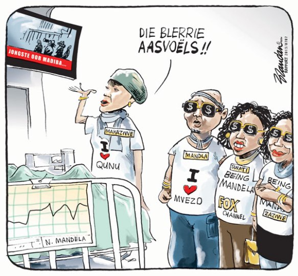 20130707rpMandelaAasvoels