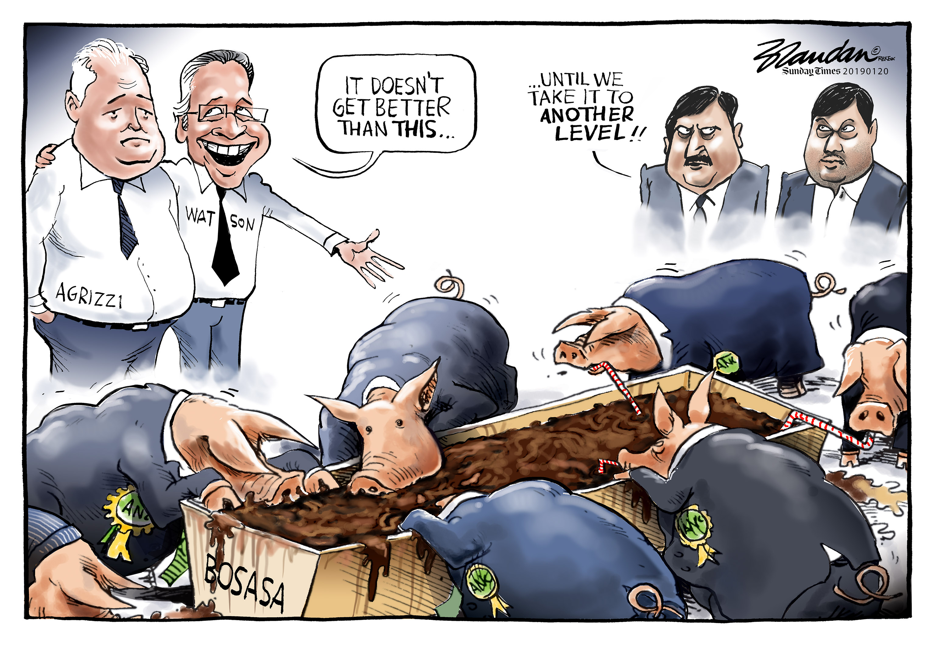 20190120strulingparty