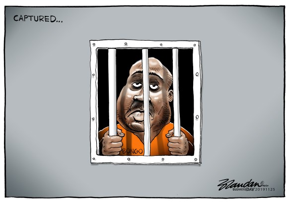 20191125bdBongoCapture